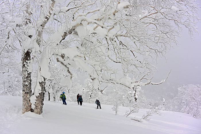 天幕山の山スキー