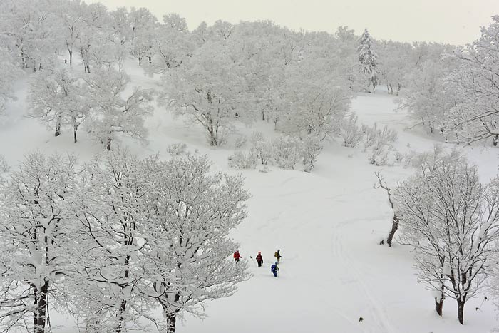 天幕山の山スキー