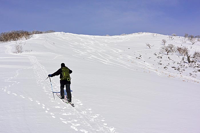 労山熊見山バックカントリー