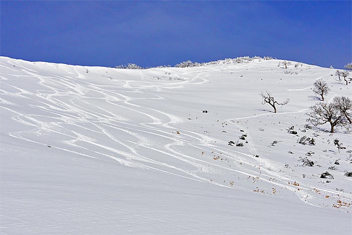 労山熊見山バックカントリー