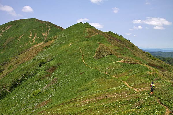 山頂へ続く道