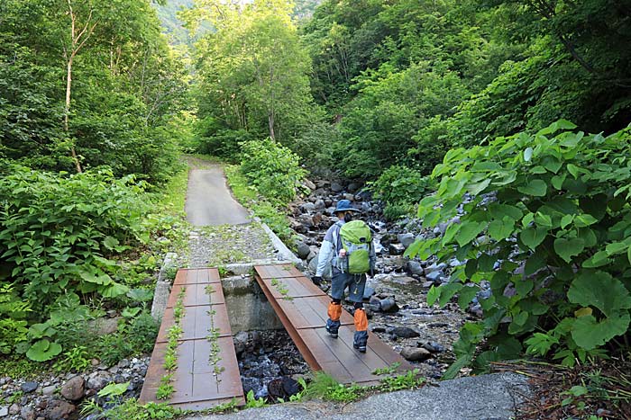 雨竜沼湿原登山道