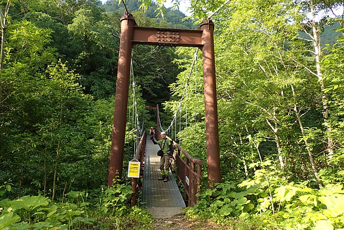 雨竜沼湿原登山道