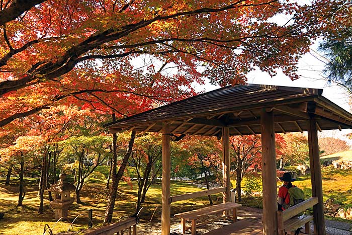 大日堂将軍塚の庭園