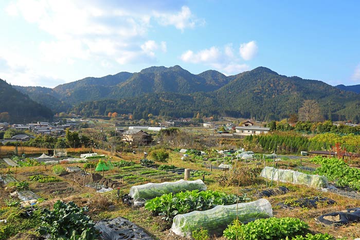 京都一周トレイル