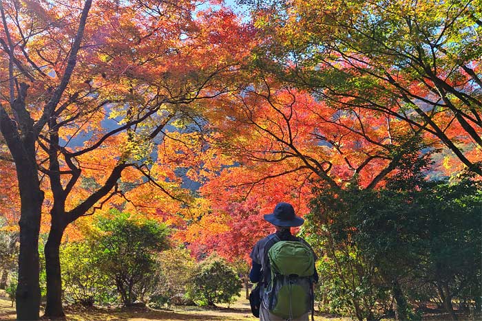 嵐山公園