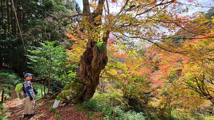 愛宕山登山