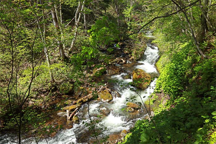 手稲山平和の滝コース