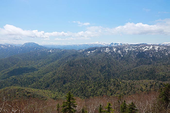 手稲山平和の滝コース