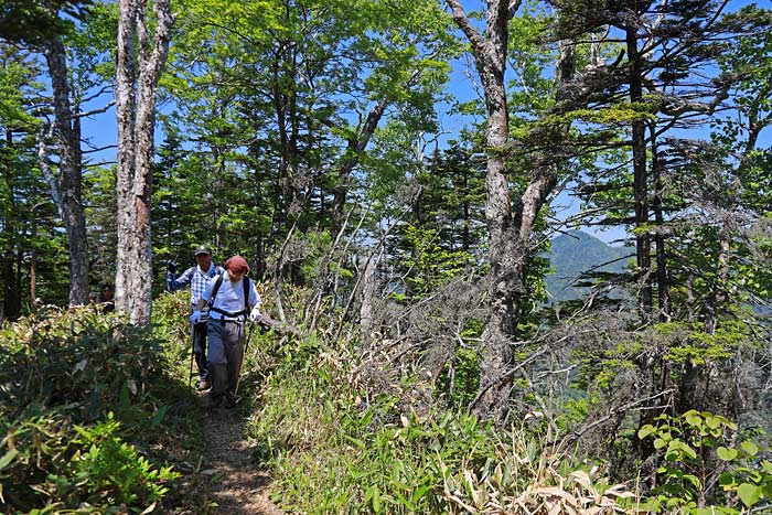 白雲山の山登り