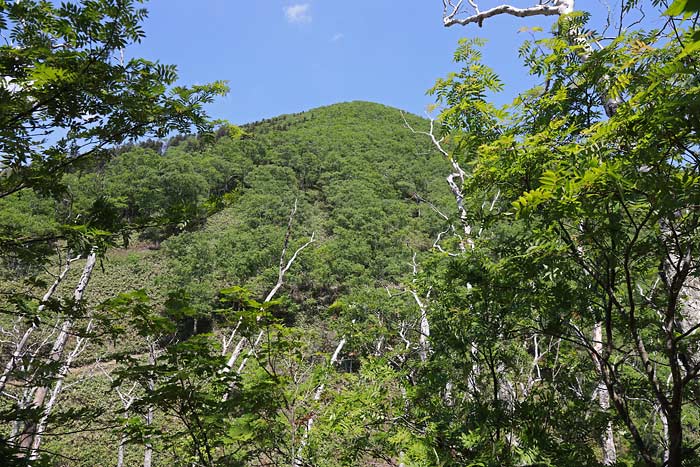 白雲山の山登り