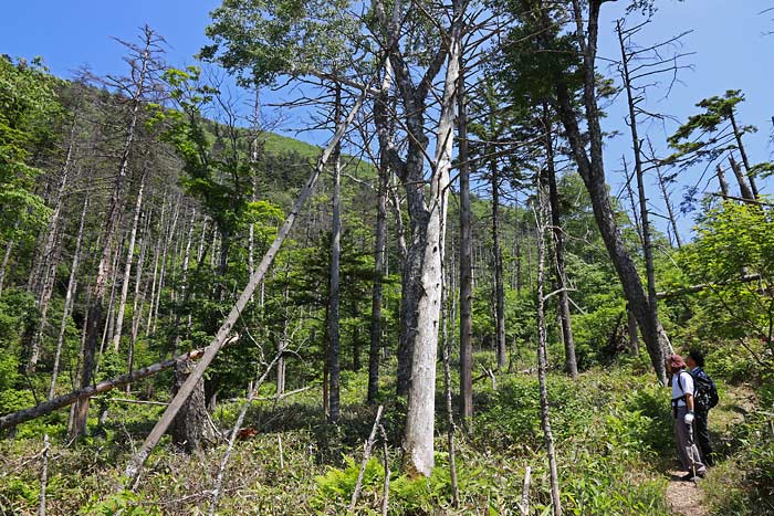 白雲山の山登り